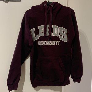 Mens Purple Hoodie